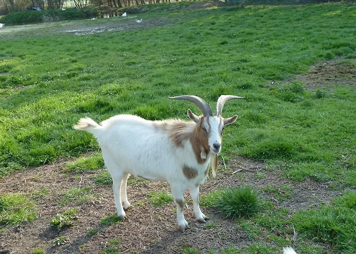 Les Landes Montpon-Menesterol